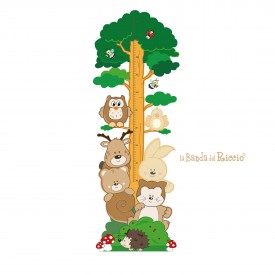 Woodland Growth Chart