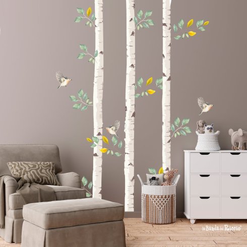 Albero betulla tre tronchi, foto  ambientata.